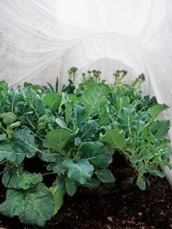 Summerweight Garden Fabric -Plant Supports Shop 32644 7936 tif