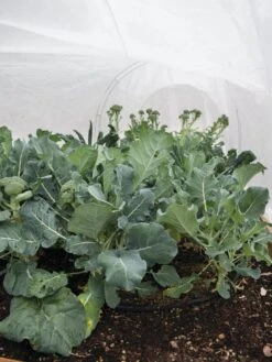 All-Purpose Garden Fabric -Plant Supports Shop 32646 7940 tif