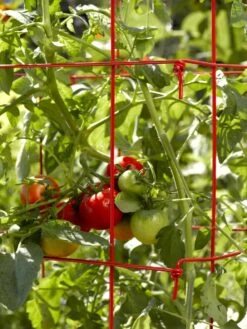 Tomato Cages, Set Of 4 -Plant Supports Shop 34182 592 1