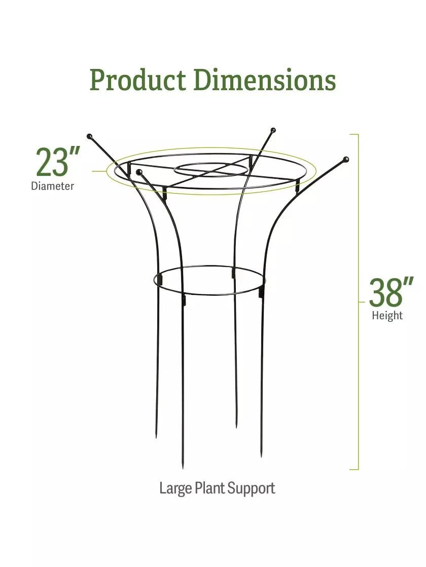 Essex Plant Supports 7 Essex Plant Supports - Image 6