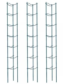 Tomato Ladders, Set Of 3 -Plant Supports Shop 38184 002E psd