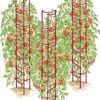 Tomato Ladders, Set Of 3 -Plant Supports Shop 38185 001E psd