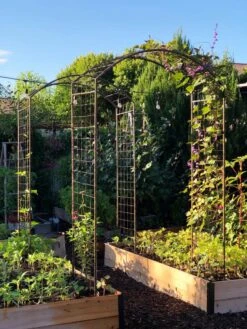 Best Seller -Plant Supports Shop 38690 02IN tif