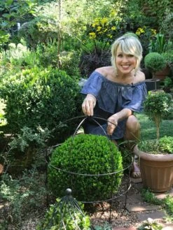 Jardin Bird Cage Support, 26" -Plant Supports Shop 39 520 02IN tif