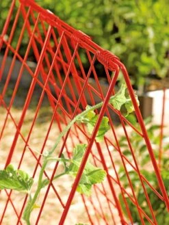 Deluxe Cucumber Trellis -Plant Supports Shop 39806 542 tif