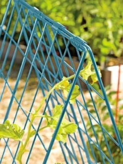 Deluxe Cucumber Trellis -Plant Supports Shop 39806 BLUE 100 tif
