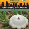 Squash, White Scallop Bush Summer Organic Seeds -Plant Supports Shop 3 4 crop 84589 8613564 Squash White Scallop Bush