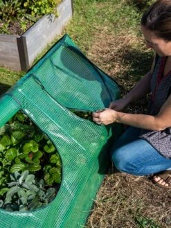 Multi Cloche -Plant Supports Shop 3 4 crop 8613213 0245