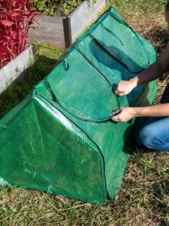 Multi Cloche -Plant Supports Shop 3 4 crop 8613213 0250