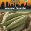 Armenian Cucumber Organic Seeds -Plant Supports Shop 3 4 crop 8613866 81608 Cucumber Armenian SDSC