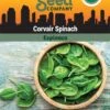 Corvair Spinach Organic Seeds -Plant Supports Shop 3 4 crop 8613868 06842 Spinach Corvair SDSC