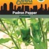Pepper, Padron Organic Seeds -Plant Supports Shop 3 4 crop 87466 8613547 Pepper Padron SDSC