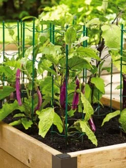 Pepper And Eggplant Stakes, Set Of 3 7 Pepper And Eggplant Stakes, Set Of 3 -Plant Supports Shop 40308 2116 tif