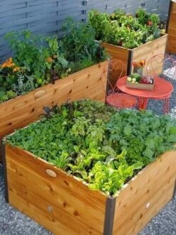 Elevated Raised Bed, 4' X 4' -Plant Supports Shop 8586748 014