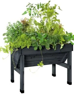 Compact VegTrug® Patio Garden -Plant Supports Shop 8586919 001 tif