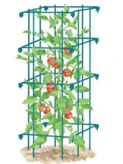 Tomato Cage, Single -Plant Supports Shop 8587039 TomatoCage BLUE tif