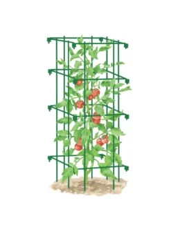 Tomato Cage, Single -Plant Supports Shop 8587039 TomatoCage GRN tif
