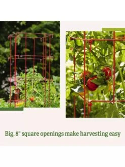 Tomato Cages, Set Of 4 -Plant Supports Shop 8587040 2