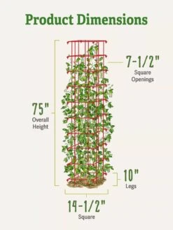 Bean Tower -Plant Supports Shop 8587060 dimensions