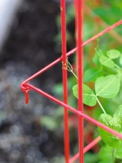 Tall Expandable Pea Trellis -Plant Supports Shop 8587061 010 tif