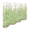 Tall Expandable Pea Trellis -Plant Supports Shop 8587062 0001 RED tall expandable pea trelis tif