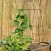 Wire A-Frame Trellis -Plant Supports Shop 8587104 526 tif