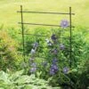 Jardin Ladder Trellis -Plant Supports Shop 8587107 1651 tif