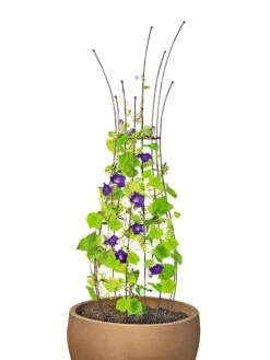 Jardin Pot Trellis 13 Jardin Pot Trellis -Plant Supports Shop 8587120 1006 tif