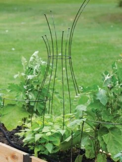 Jardin Pot Trellis 10 Jardin Pot Trellis -Plant Supports Shop 8587120 7037 tif