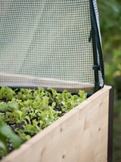 Planter Box, Frame And 2 Covers Kit, 2' X 4' -Plant Supports Shop 8587631 265 tif 3