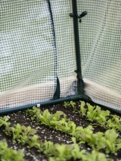 Protection Frame & Covers, 2' X 8' 17 Protection Frame & Covers, 2' X 8' -Plant Supports Shop 8587631 271 tif