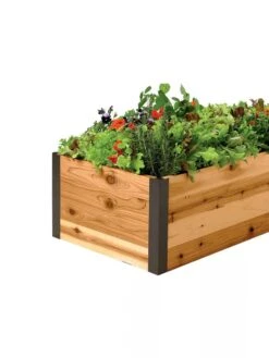 Deep Root Raised Beds, 14" Deep 2' Wide 9 Deep Root Raised Beds, 14" Deep 2' Wide -Plant Supports Shop 8587798 001E 1