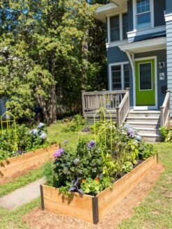 Zenith Folding Garden Supports, Set Of 2 -Plant Supports Shop 8587807 0801 tif