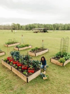 Deep Root Raised Beds, 14" Deep 4' Wide 12 Deep Root Raised Beds, 14" Deep 4' Wide -Plant Supports Shop 8587813 505 tif