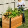 Elevated Raised Bed, 2' X 4' -Plant Supports Shop 8587822 675 tif
