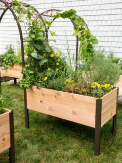 2’ X 4’ Arch Trellis For Planter Boxes -Plant Supports Shop 8587823 0490