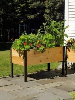 Elevated Planter Box, 2' X 4' 13 Elevated Planter Box, 2' X 4' -Plant Supports Shop 8587823 704 tif