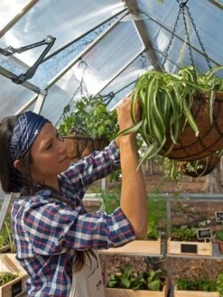 Canopia® By Palram Balance Greenhouse, 8' X 12' -Plant Supports Shop 8588023 07V jpg