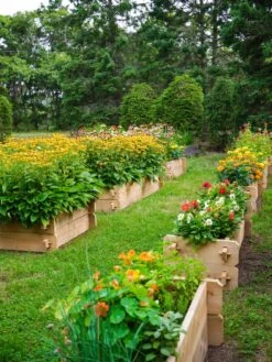 Farmstead Cedar Raised Garden Beds, 2' 13 Farmstead Cedar Raised Garden Beds, 2' -Plant Supports Shop 8588137 05V tif