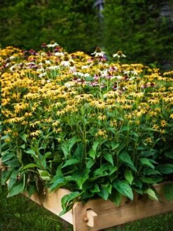 Farmstead Cedar Raised Garden Beds, 2' 17 Farmstead Cedar Raised Garden Beds, 2' -Plant Supports Shop 8588144 014V tif