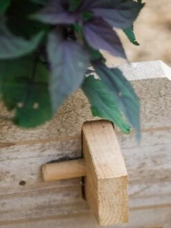 Farmstead Cedar Raised Garden Beds, 2' 16 Farmstead Cedar Raised Garden Beds, 2' -Plant Supports Shop 8588144 12V tif