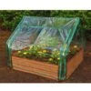 Extendable Cold Frame Greenhouse -Plant Supports Shop 8588247 03V extendable cold frame greenhouse