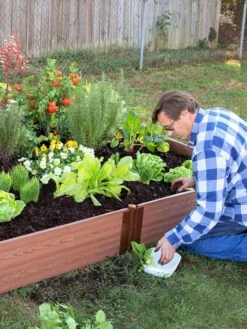 Composite Raised Bed With 1" Boards, 11" -Plant Supports Shop 8588274 02V tif