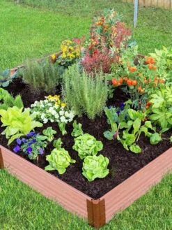 Composite Raised Bed With 1" Boards, 11" -Plant Supports Shop 8588274 03V tif