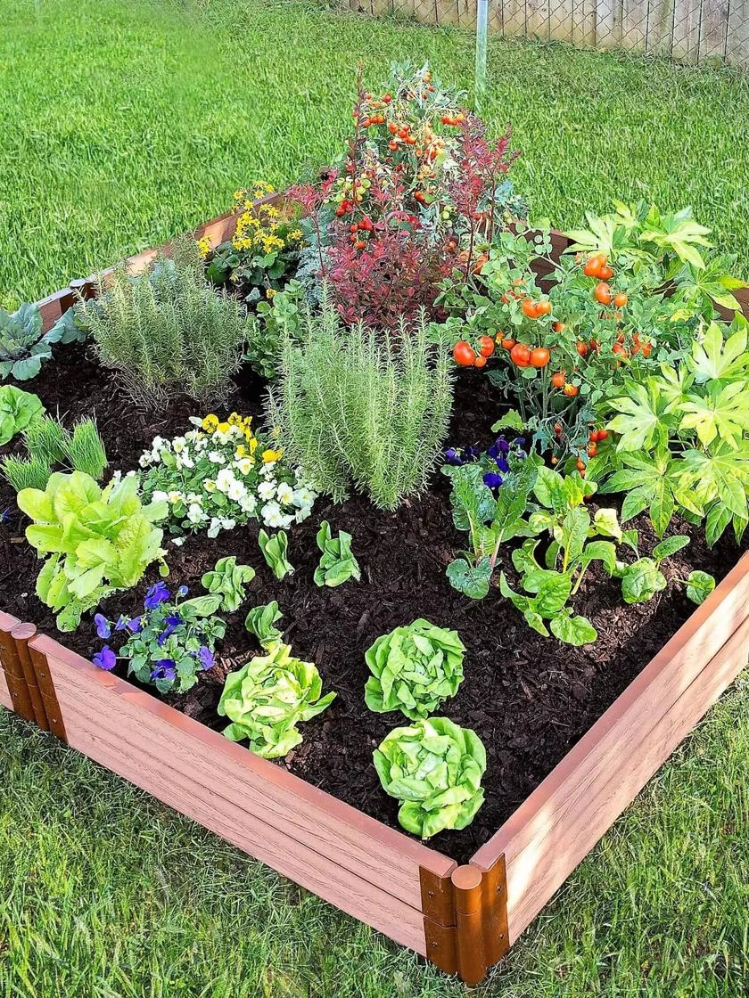 Classic Sienna Composite Raised Bed, 11" High With 2" Board 8 Classic Sienna Composite Raised Bed, 11" High With 2" Board - Image 6