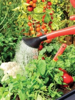 Canopia® By Palram Plant Inn™ Raised Bed Greenhouse, 4' X 4' -Plant Supports Shop 8588308 06V tif