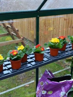 Canopia® By Palram Shelf Kit For Greenhouses, Set Of 2 Shelves -Plant Supports Shop 8591033 09V jpg