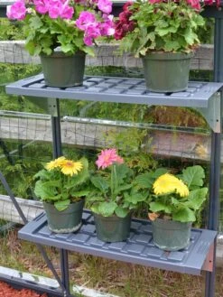 Canopia® By Palram Shelf Kit For Greenhouses, Set Of 2 Shelves -Plant Supports Shop 8591033 11V jpg