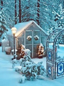 Canopia® By Palram Harmony™ Snap & Grow Greenhouse, 8' -Plant Supports Shop 8591048 06V jpg