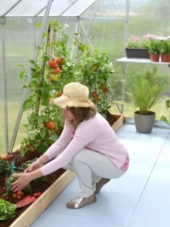 Canopia® By Palram Essence™ Greenhouse, 8' X 12' -Plant Supports Shop 8591356 04V tif